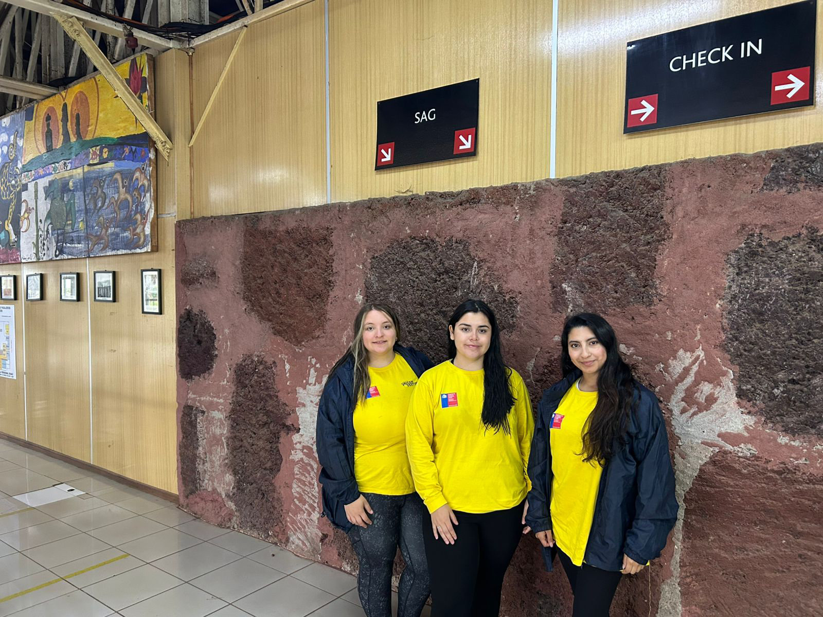 Avances en la implementación de la Encuesta Origen Destino